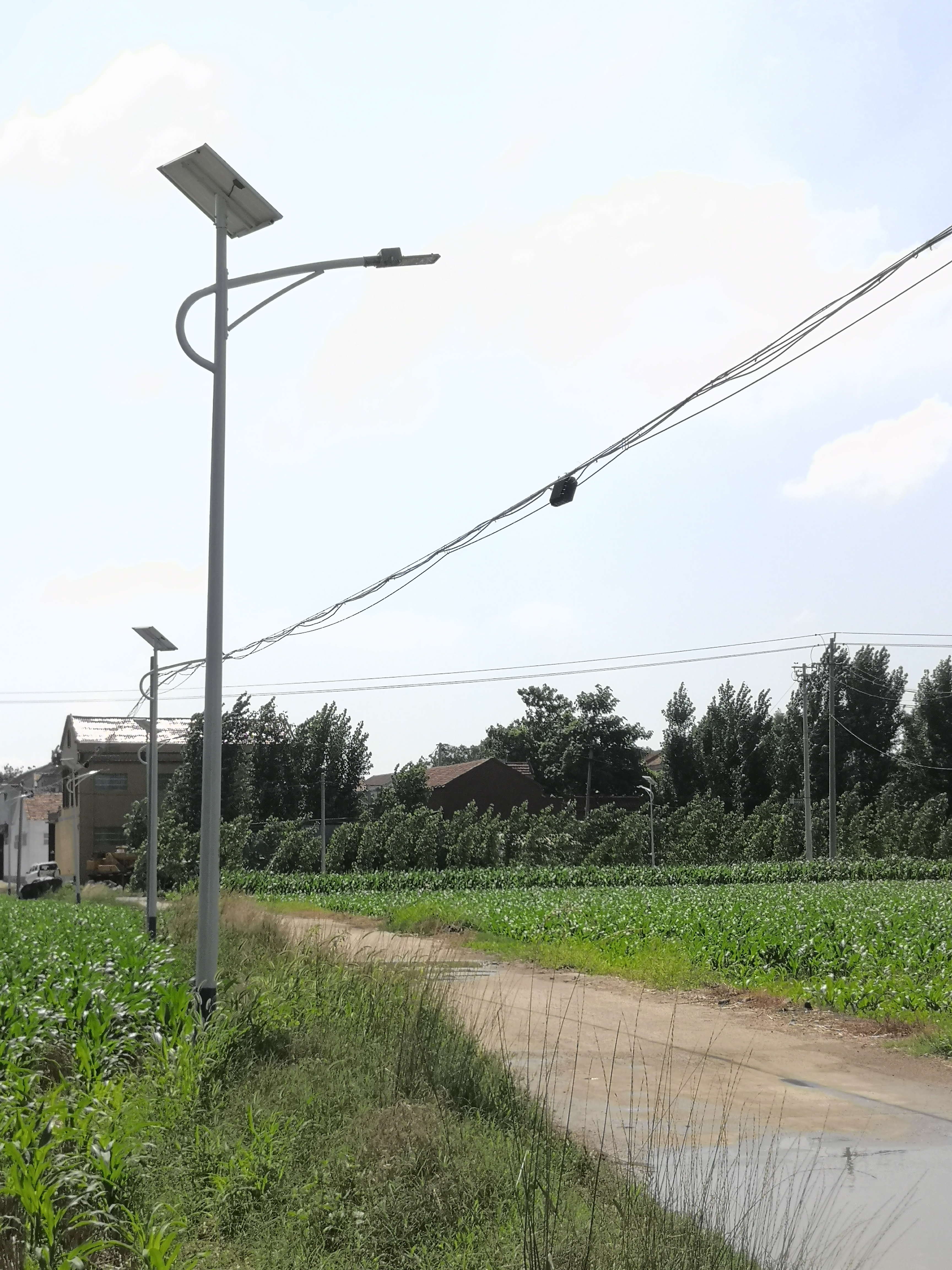 太陽(yáng)能光伏路燈